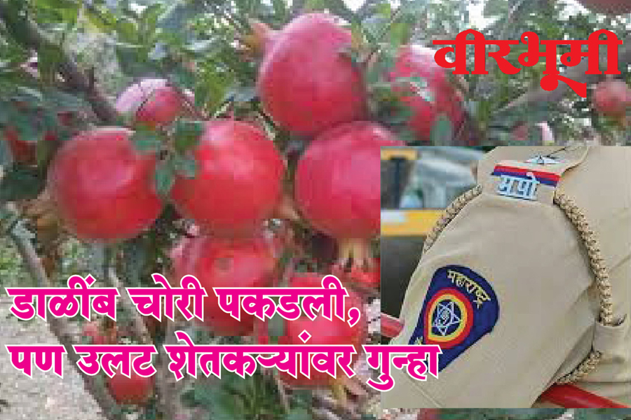 डाळींब चोरी पकडली, पण उलट शेतकर्‍यांवर गुन्हा